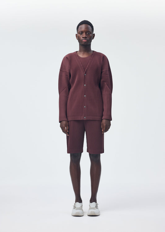 A model wears the HOMME PLISSÉ ISSEY MIYAKE COLOR PLEATS trousers.
