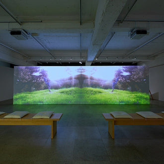 Mark Borthwick: Something Out of Nothing Into Everything