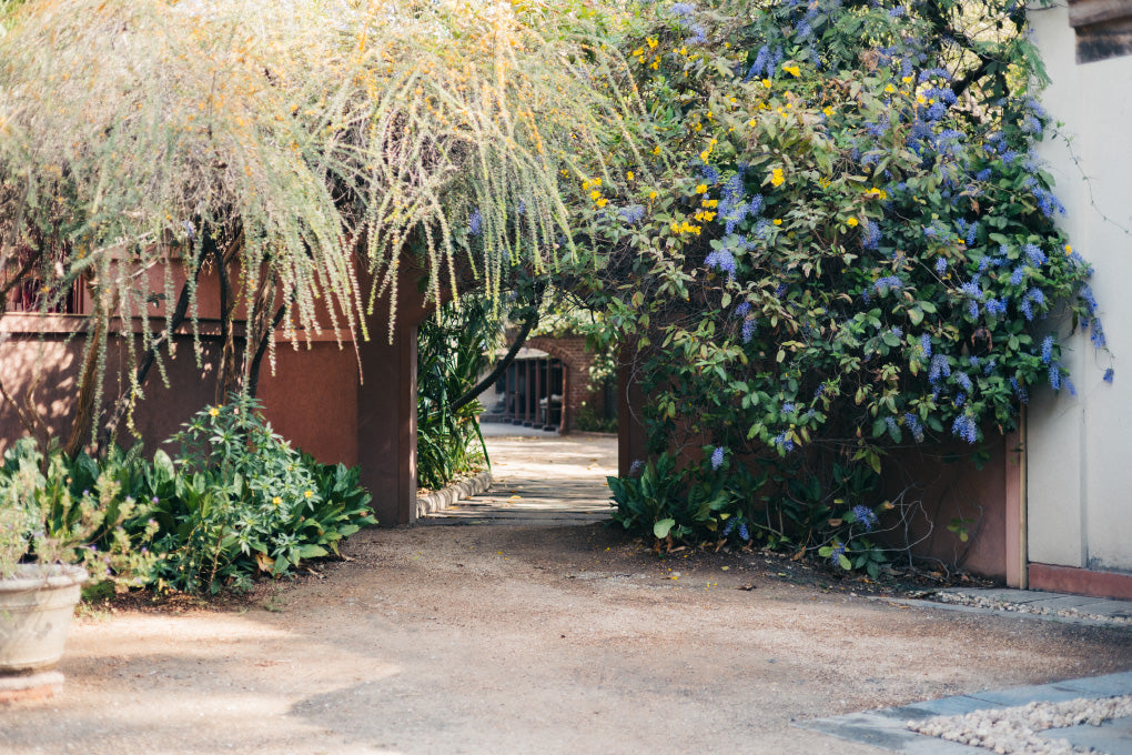 HaaT DESIGN & MAKING INDIA – ISSEY MIYAKE EU