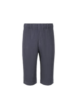 TAILORED PLEATS 2 Trousers Blue Charcoal