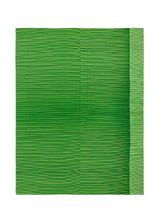 RB_ALL OVER PLEATS BAG Bag Green