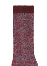 RB_DRAWING SOCKS Socks Wine Red