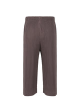 PLEATS BOTTOMS 1 Trousers Slate Violet