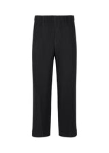 TAILORED PLEATS 2 Trousers Black