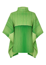 RB_ALL OVER PLEATS Top Green