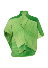 RB_ALL OVER PLEATS Top Green