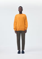 A model wears the Homme Plisse Issey Miyake WOOL LIKE LIGHT trousers.