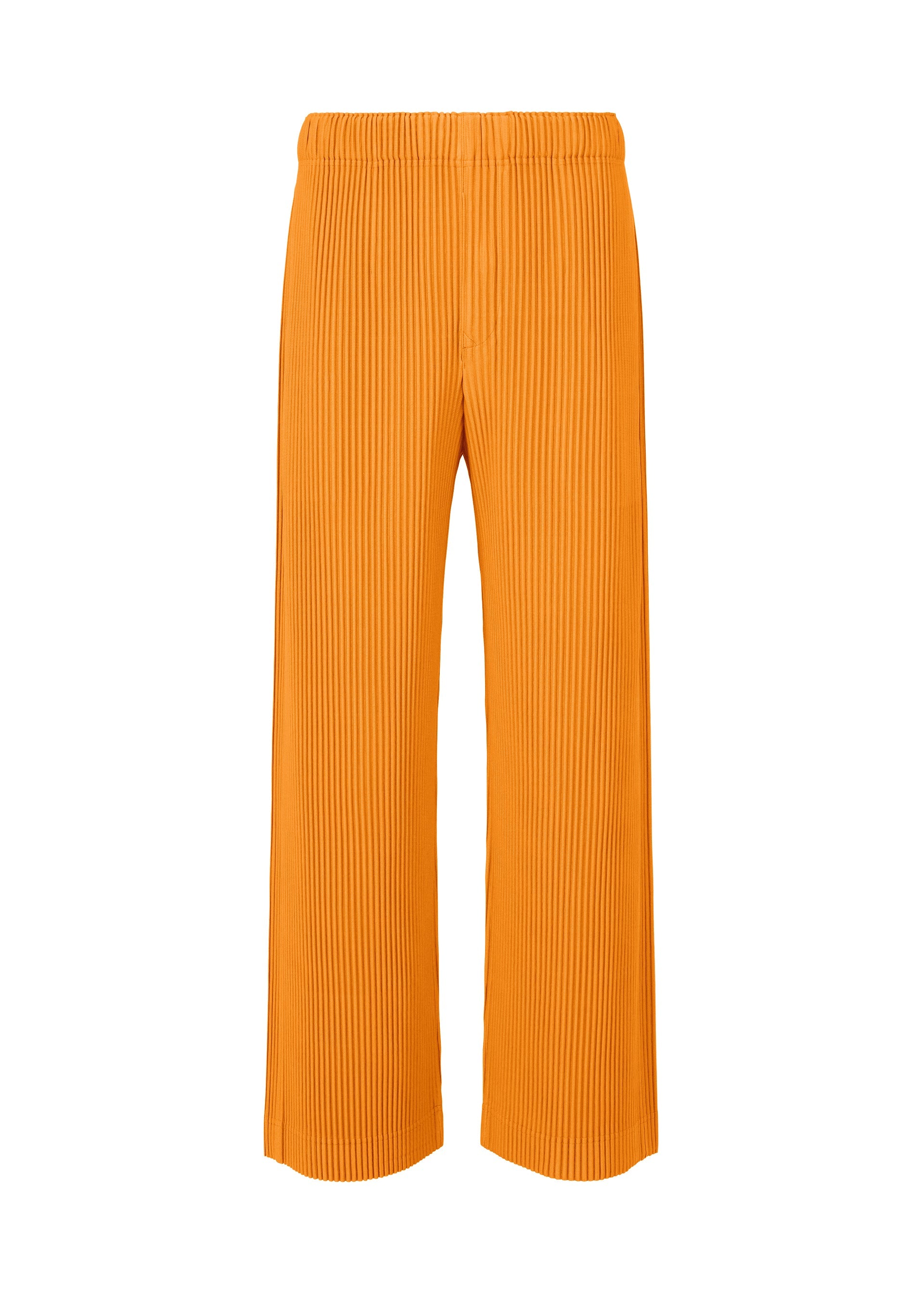 A product shot of the Homme Plisse Issey Miyake MONTHLY COLORS : OCTOBER trousers in .