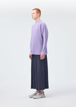 A model wears the Homme Plisse Issey Miyake MONTHLY COLORS : DECEMBER trousers.