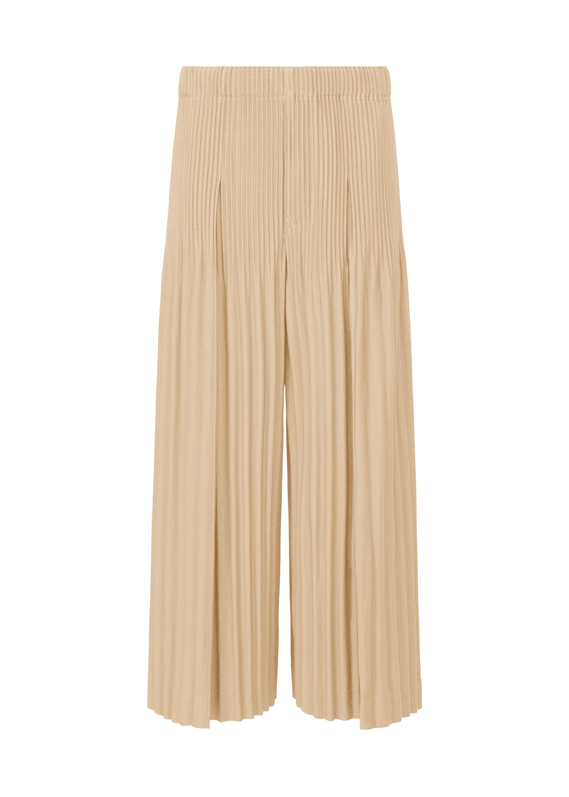 A product shot of the Homme Plisse Issey Miyake MONTHLY COLORS : DECEMBER trousers in .