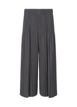 A product shot of the Homme Plisse Issey Miyake MONTHLY COLORS : DECEMBER trousers in .