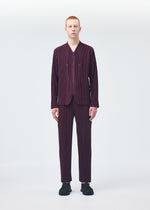 A model wears the Homme Plisse Issey Miyake QUARRY trousers.