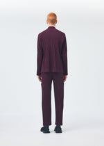 A model wears the Homme Plisse Issey Miyake QUARRY trousers.
