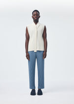 A model wears the Homme Plisse Issey Miyake MONTHLY COLORS : SEPTEMBER top.