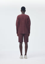 A model wears the HOMME PLISSÉ ISSEY MIYAKE COLOR PLEATS shirt.