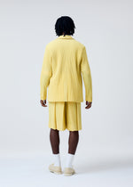 A model wears the Homme Plisse Issey Miyake TAILORED PLEATS 2 jacket.