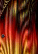 A model wears the Homme Plisse Issey Miyake PAINT BRUSH CLOSE UP prêt à porter.