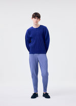A model wears the HOMME PLISSE ISSEY MIYAKE MONTHLY COLORS FEBRUARY prêt à porter.