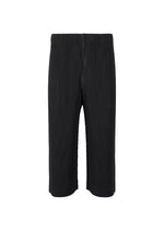 A product shot of the Homme Plisse Issey Miyake MONTHLY COLORS MAY trousers in black (15), recurring_style.