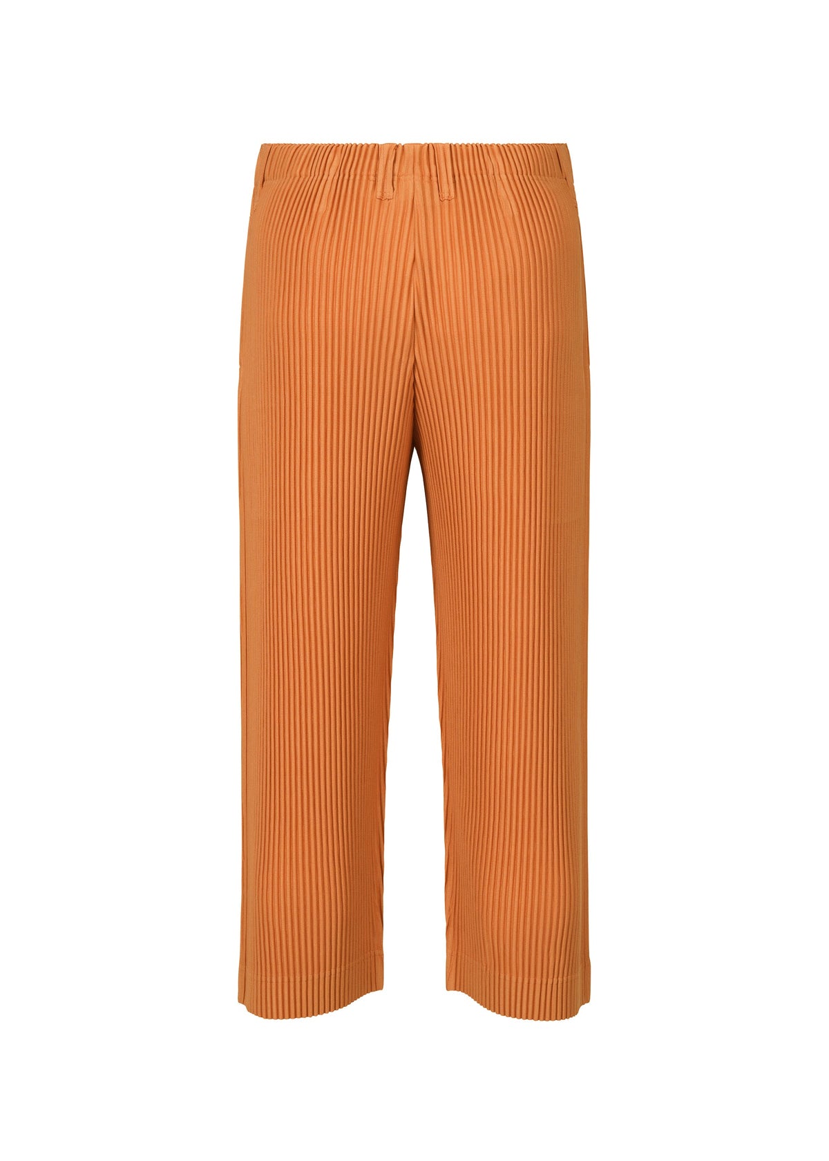 A detail shot of the Homme Plisse Issey Miyake TAILORED PLEATS 2 pants.