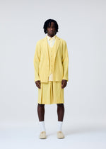 A model wears the Homme Plisse Issey Miyake TAILORED PLEATS 2 pants.