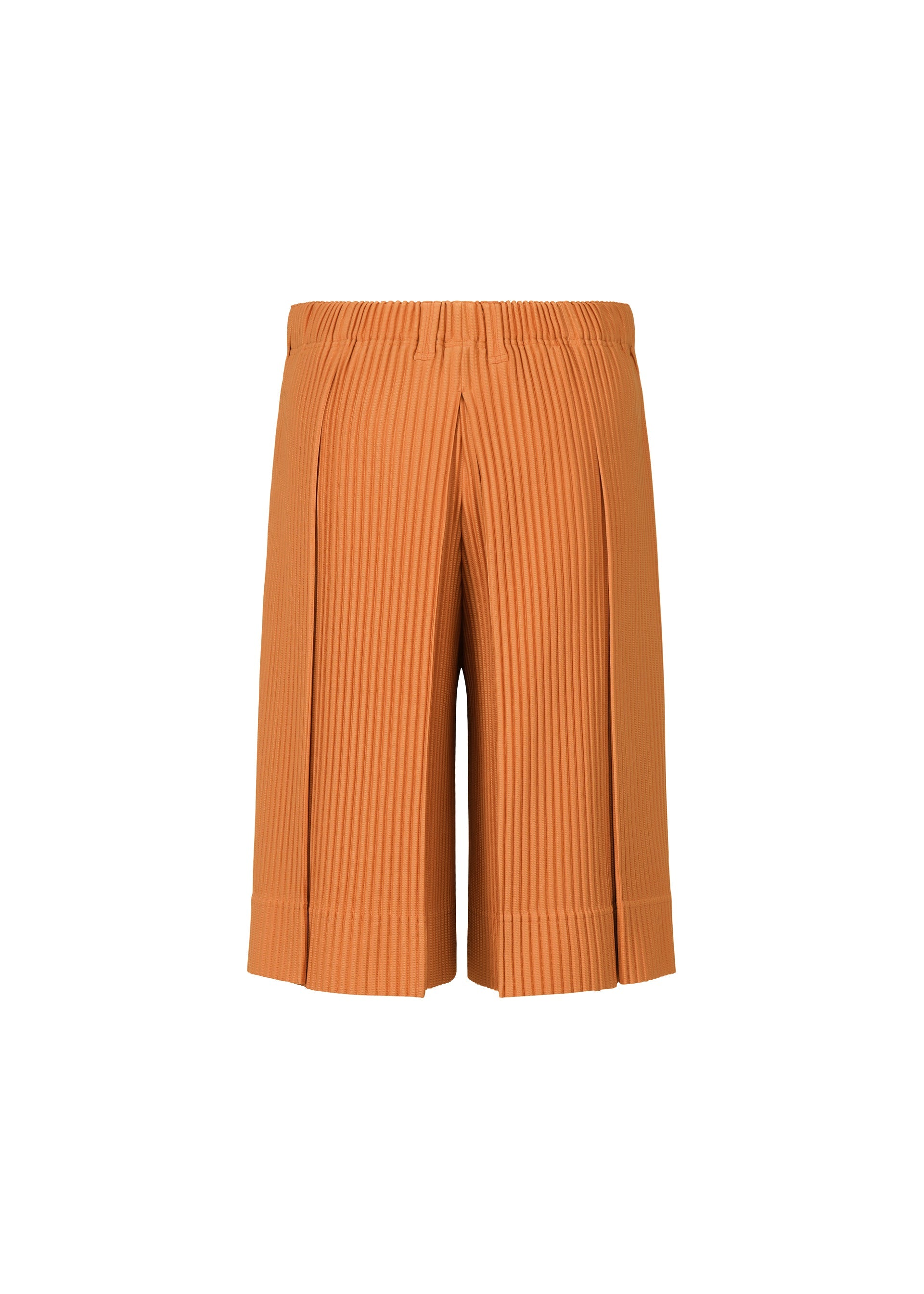 TAILORED PLEATS 2 Trousers Manarola Brick Brown – ISSEY MIYAKE EU