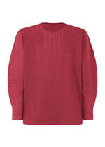 A product shot of the HOMME PLISSE ISSEY MIYAKE MONTHLY COLORS JANUARY prêt à porter in .