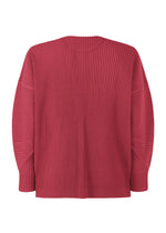 A detail shot of the HOMME PLISSE ISSEY MIYAKE MONTHLY COLORS JANUARY prêt à porter.