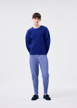 A model wears the HOMME PLISSE ISSEY MIYAKE MONTHLY COLORS FEBRUARY prêt à porter.