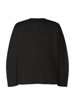 A product shot of the HOMME PLISSE ISSEY MIYAKE MONTHLY COLORS FEBRUARY prêt à porter in black (15).