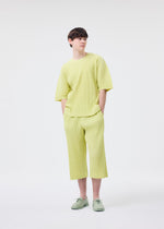 A model wears the Homme Plisse Issey Miyake MONTHLY COLORS MAY t-shirt.