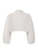 A product shot of the HOMME PLISSE ISSEY MIYAKE COLOR PLEATS 1 prêt à porter in .