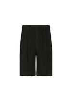 A product shot of the HOMME PLISSÉ ISSEY MIYAKE MONTHLY COLORS : AUGUST pants in black.