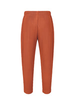 A detail shot of the HOMME PLISSÉ ISSEY MIYAKE MONTHLY COLORS : AUGUST pants.