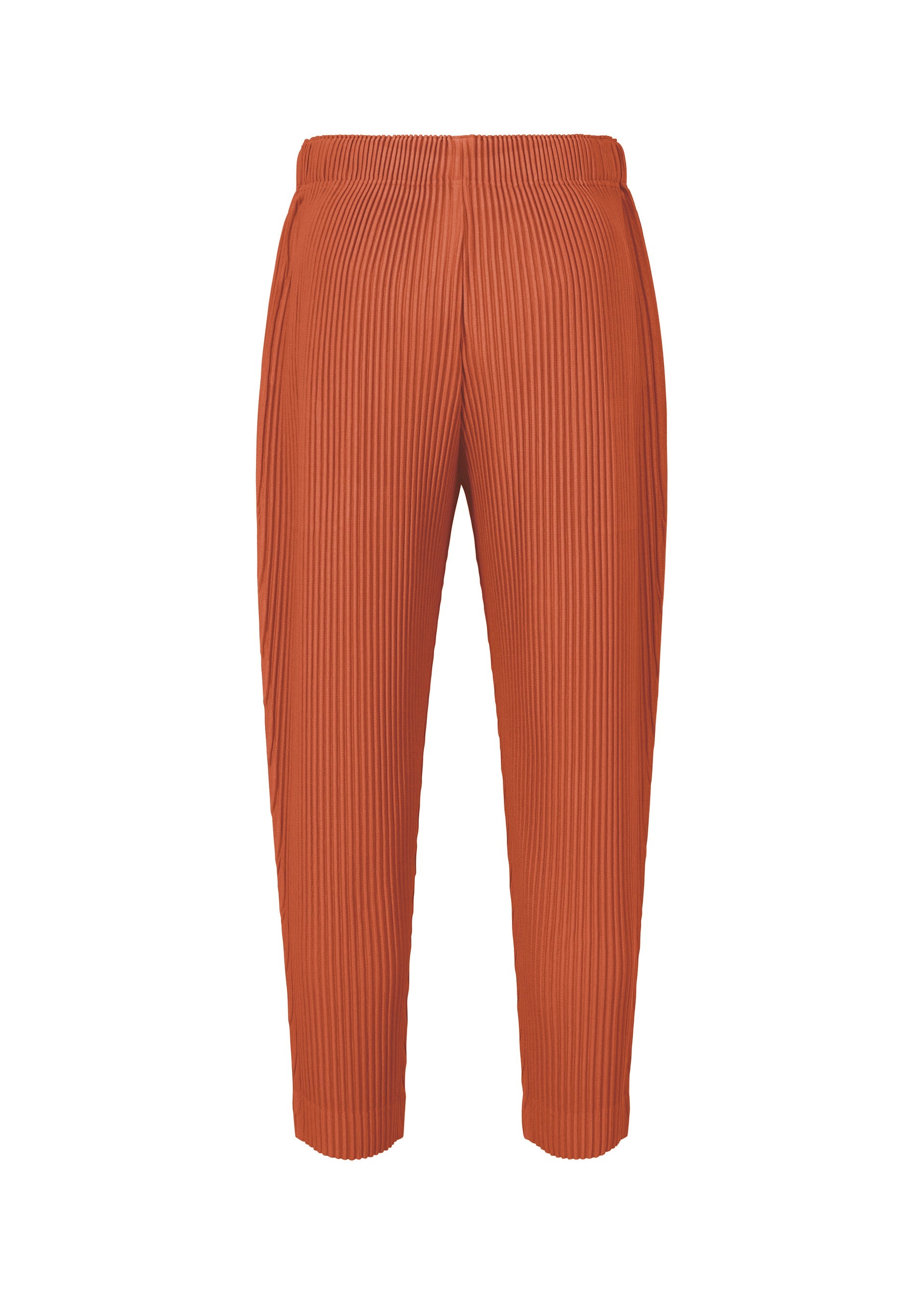A detail shot of the HOMME PLISSÉ ISSEY MIYAKE MONTHLY COLORS : AUGUST pants.