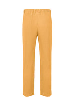 A detail shot of the HOMME PLISSÉ ISSEY MIYAKE TAILORED PLEATS 1 pants.