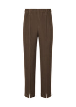 A product shot of the HOMME PLISSÉ ISSEY MIYAKE TAILORED PLEATS 1 pants in shadow brown.
