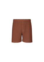 A product shot of the HOMME PLISSÉ ISSEY MIYAKE COLOR PLEATS 1 pants in darkside brown.