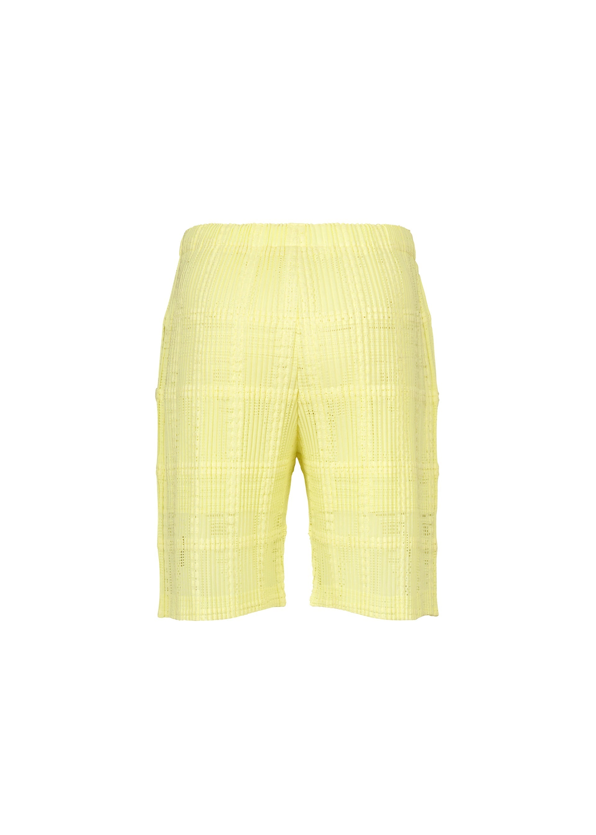 A detail shot of the HOMME PLISSÉ ISSEY MIYAKE LACE GRID PLEATS pants.