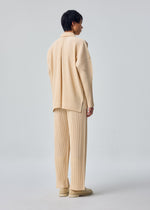 A model wears the HOMME PLISSÉ ISSEY MIYAKE MONTHLY COLORS : OCTOBER shirt.
