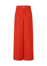 A product shot of the Issey Miyake DISPOCKET Pants trousers in .