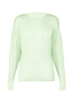 SUEDE LIKE PUFF PLEATS Top Mint