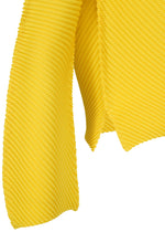 A detail shot of the Issey Miyake SHIFTED MISTY PLEATS prêt à porter.