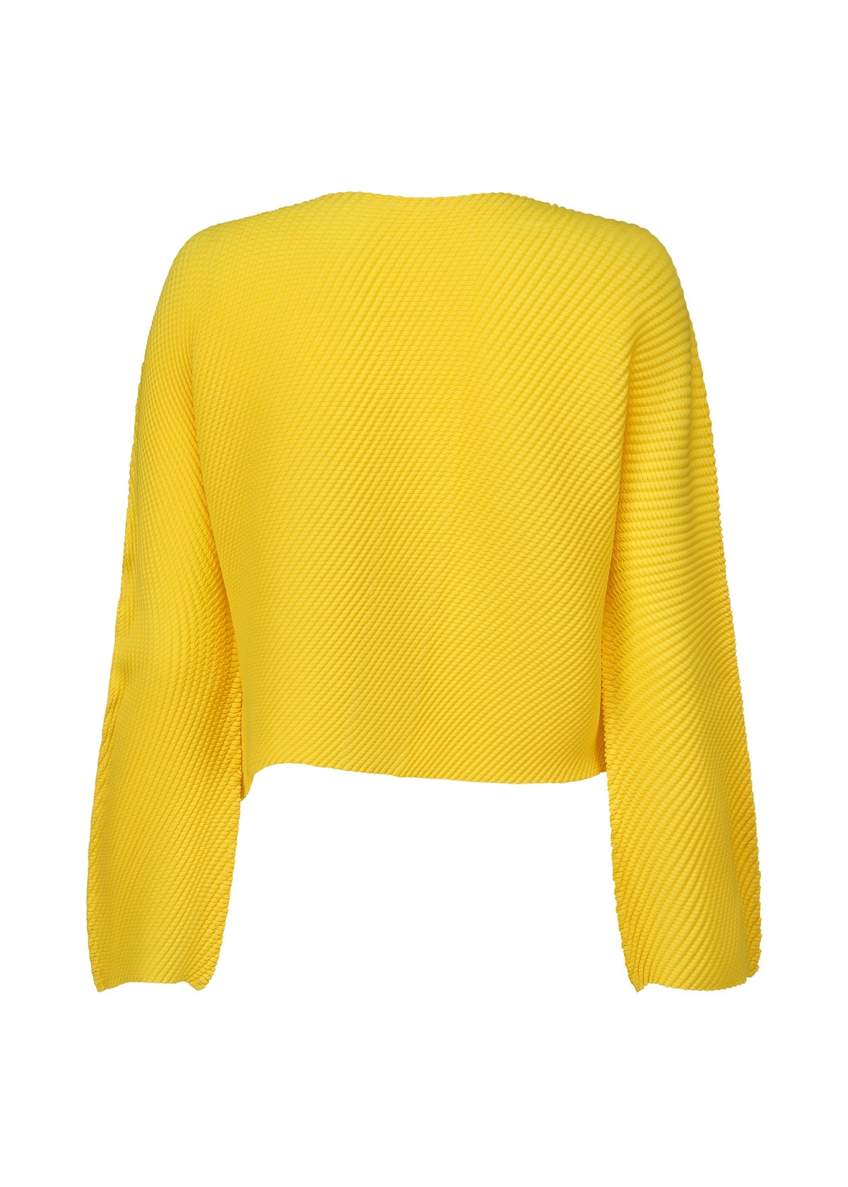 A detail shot of the Issey Miyake SHIFTED MISTY PLEATS cardigan.