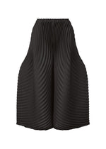 A product shot of the ISSEY MIYAKE CIRCLE PLEATS PB prêt à porter in black (15).