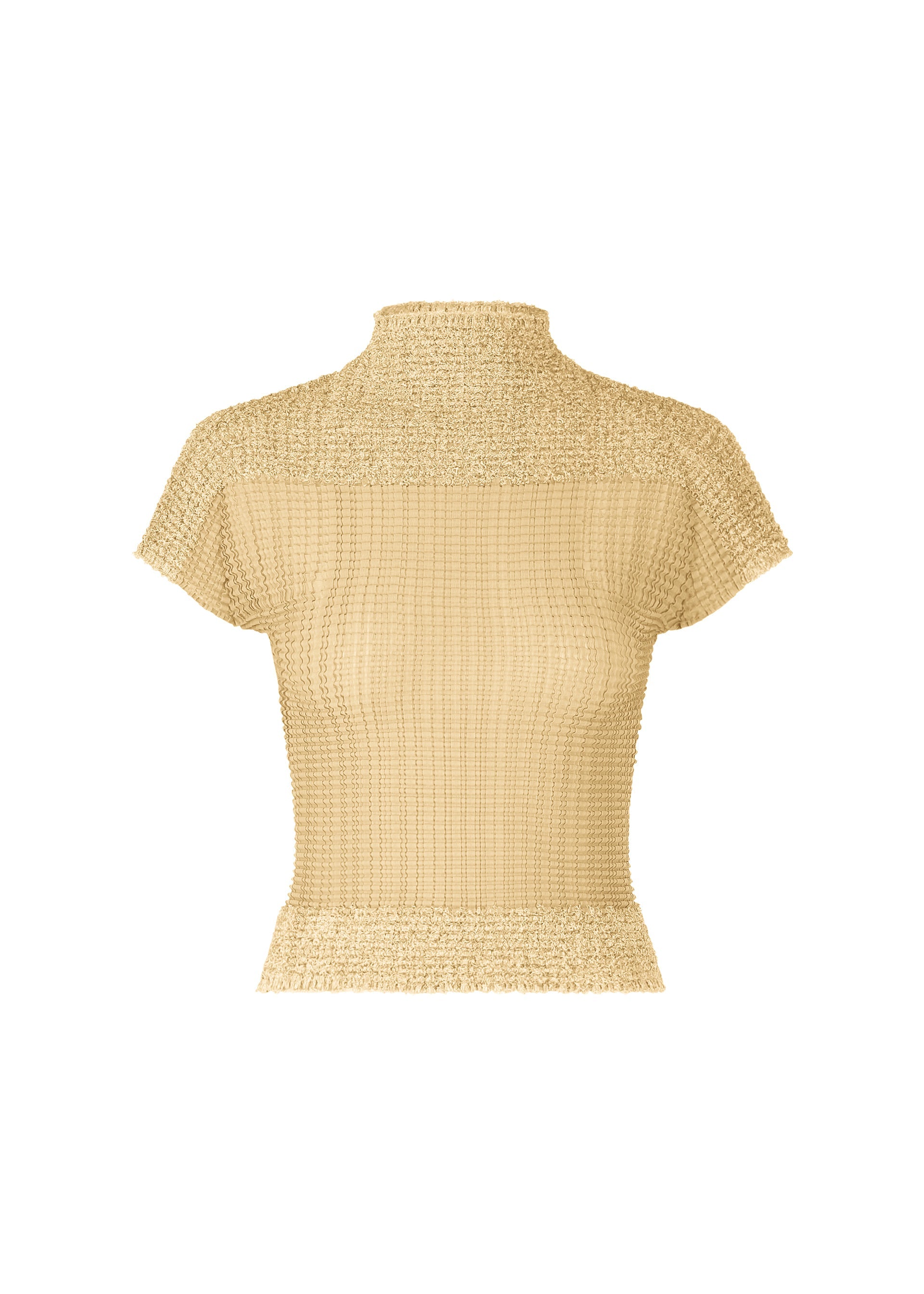 A product shot of the Issey Miyake SHEER FUZZY PLEATS shirt in .