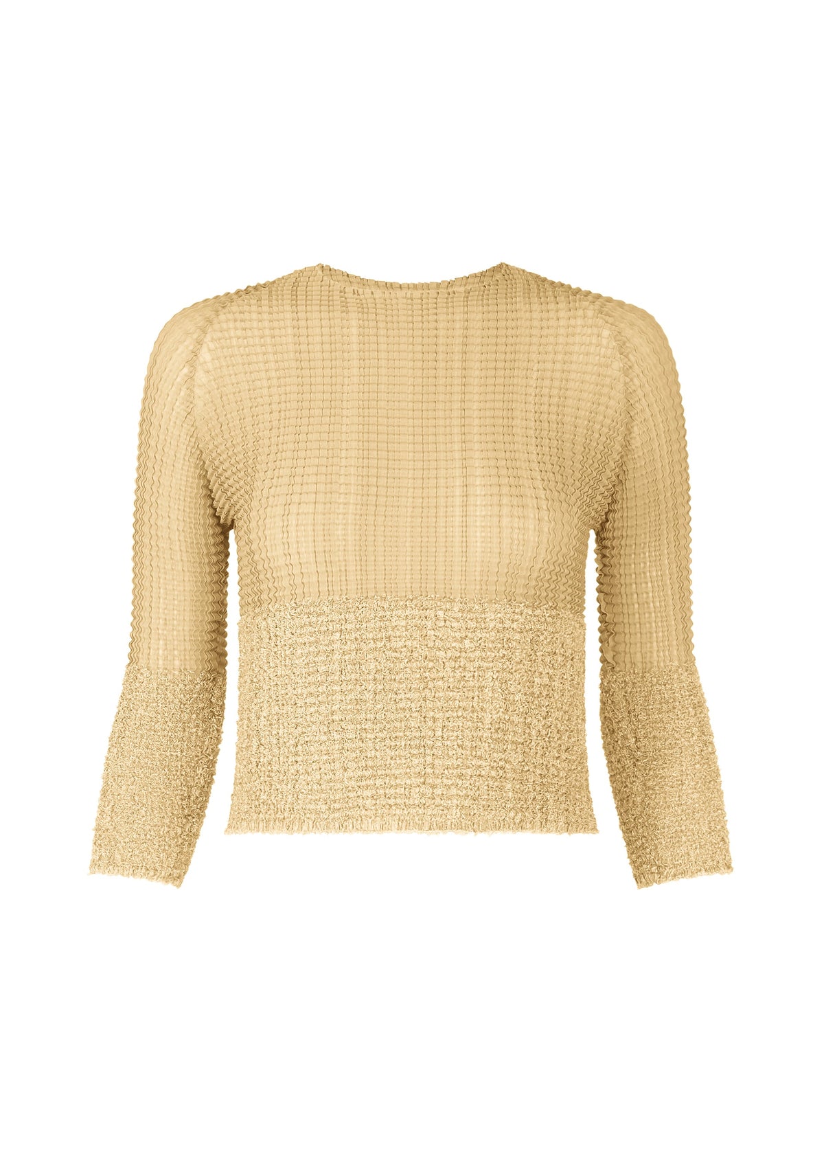 A product shot of the Issey Miyake SHEER FUZZY PLEATS shirt in .