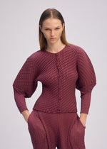 A model wears the ISSEY MIYAKE SLEEK PLEATS sleek-pleats-cardigan-light-grey.