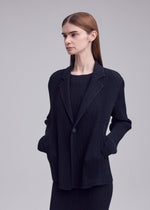 A model wears the ISSEY MIYAKE HATCHING PLEATS jacket.