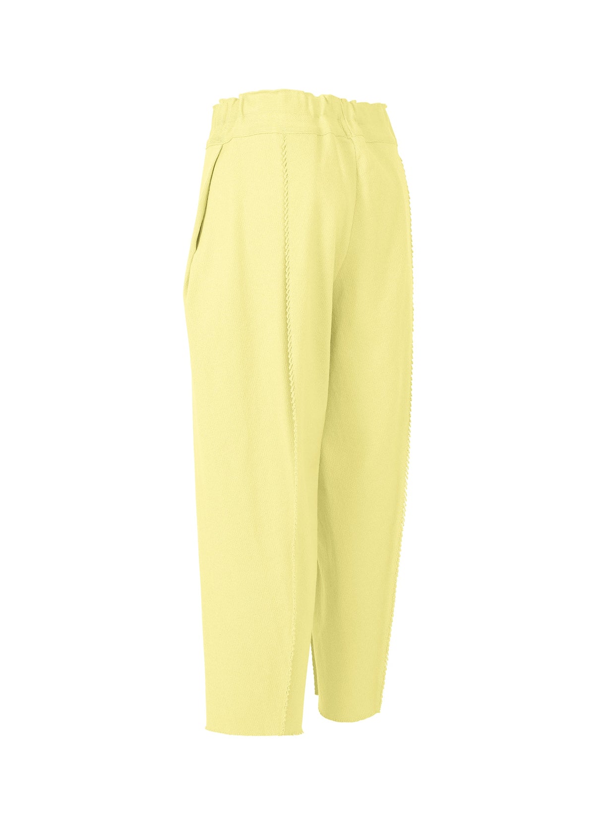 A detail shot of the ISSEY MIYAKE CAMPAGNE pants.